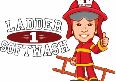 Ladder-1-Soft-Wash-Logo-3